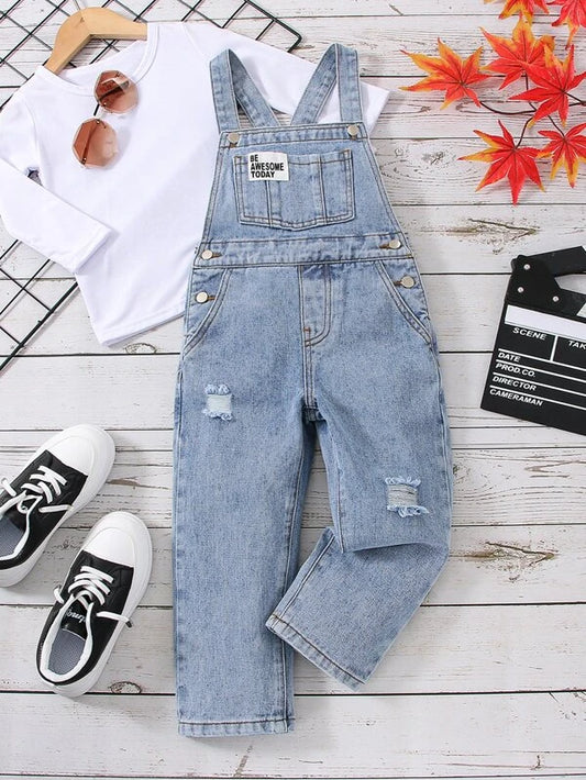 Toddler Boys 1pc Slogan Patched Ripped Denim Overalls