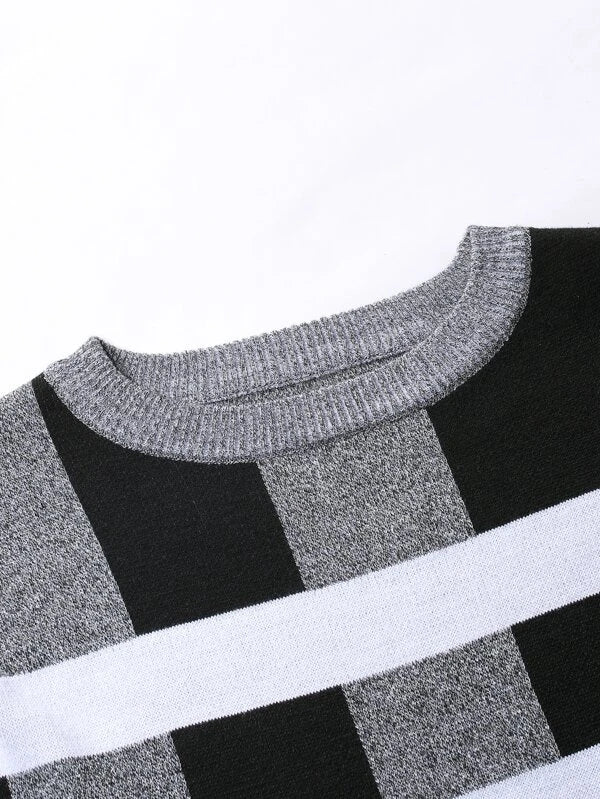 Manfinity LEGND Men Color Block Sweater