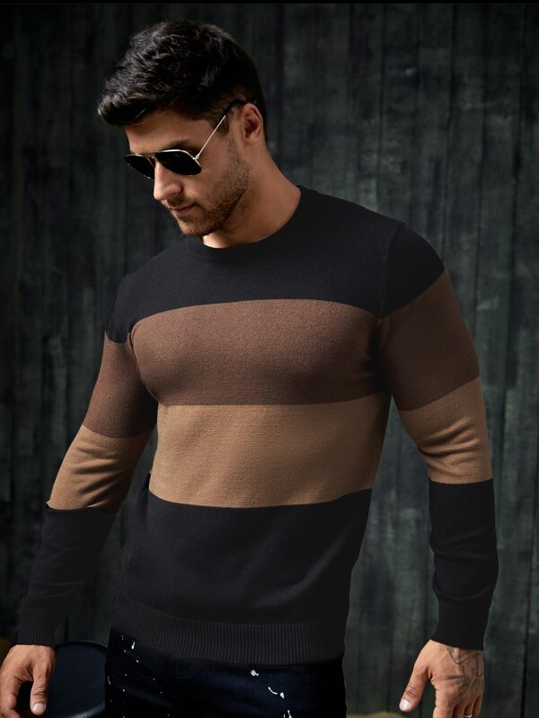 SHEIN Men Color Block Sweater