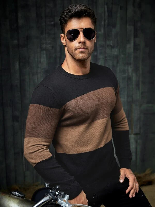 SHEIN Men Color Block Sweater