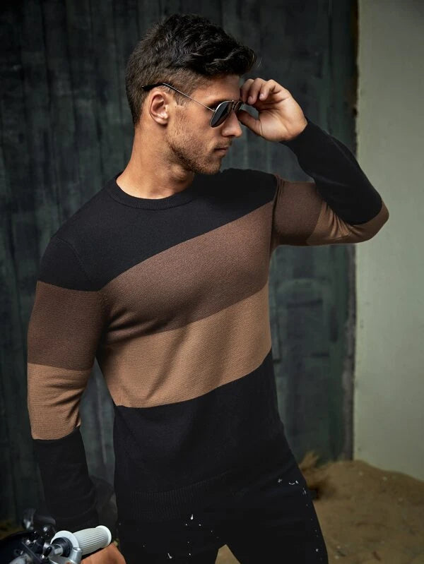 SHEIN Men Color Block Sweater