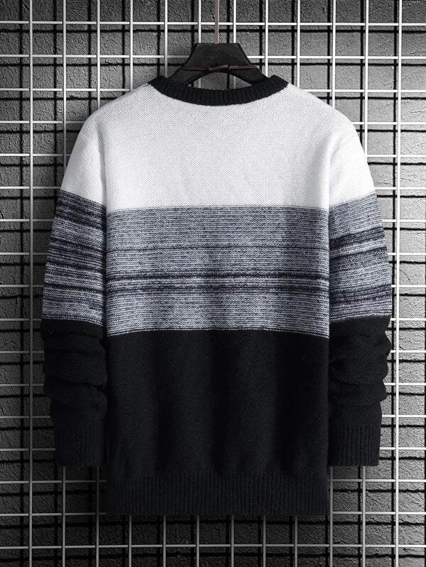 Men Argyle Knit Colorblock Sweater