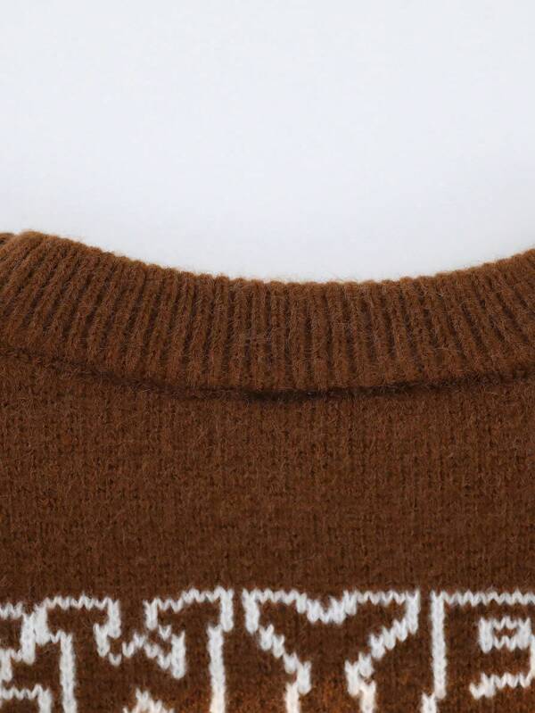 Men Tiger & Letter Pattern Drop Shoulder Sweater