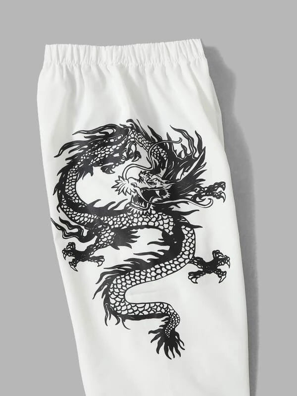 SHEIN Kids EVRYDAY Boys Chinese Dragon Print Pants