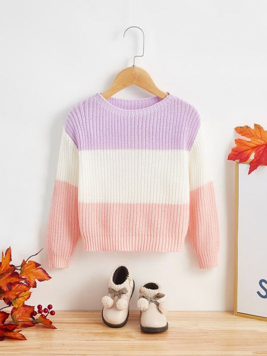 SHEIN Toddler Girls Color Block Drop Shoulder Sweater