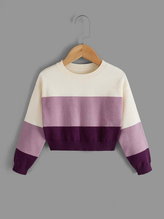 Toddler Girls Colorblock Drop Shoulder Sweater