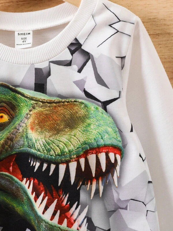 Young Boy Dinosaur Print Sweatshirt