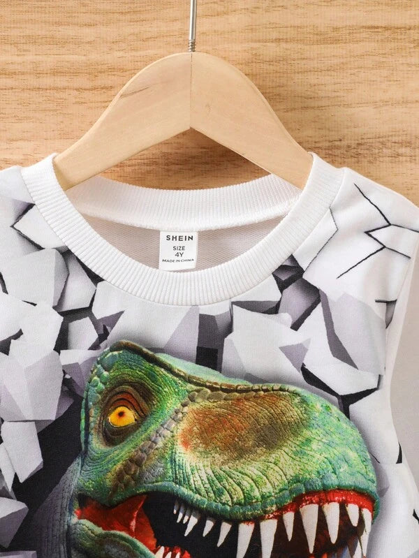 Young Boy Dinosaur Print Sweatshirt