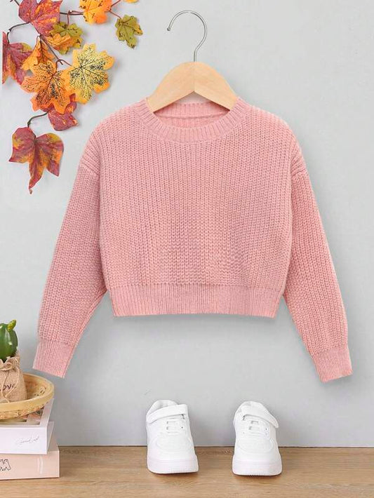 Young Girl Solid Ribbed Knit Sweater
