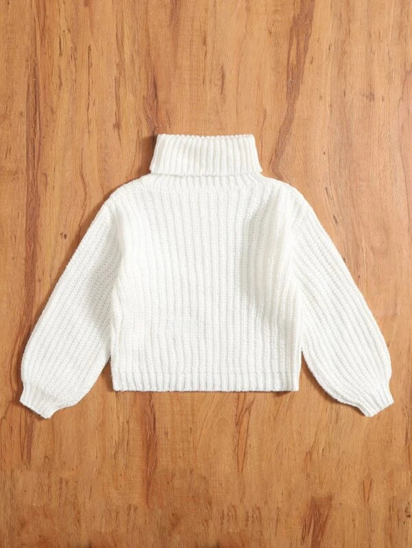 Toddler Girls Solid Turtleneck Sweater