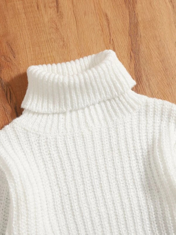 Toddler Girls Solid Turtleneck Sweater